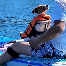 Puppies maiden voyage Puppies maiden voyage