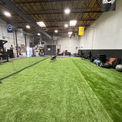 951 Elite Volleyball