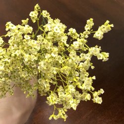 DB's Floral Designs N' More