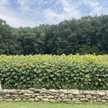 Buttonwood Farm - Ranches Near Me - Griswold, Connecticut