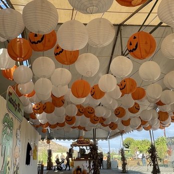 Tanaka Farms - 10.10.25 cute lanterns - CSA Near Me - Irvine, California Tanaka Farms - 10.10.25 cute lanterns - CSA Near Me - Irvine, California