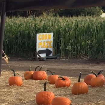 Larry's Produce - Fruits & Veggies Near Me - Fairfield, California Larry's Produce - Fruits & Veggies Near Me - Fairfield, California