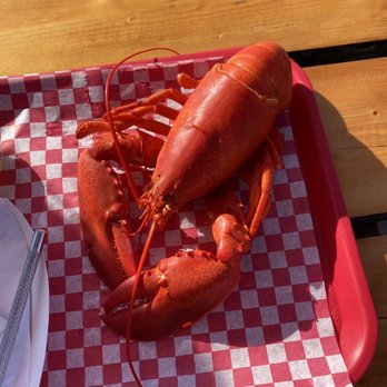 Sprague's Lobster - Boiled lobster - Seafood Near Me - Wiscasset, Maine Sprague's Lobster - Boiled lobster - Seafood Near Me - Wiscasset, Maine