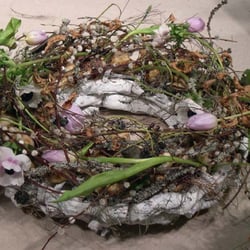 Tausendschön