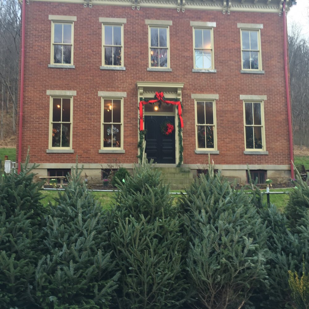 Bellisima Flowers Wheeling Wv Best Flower Site