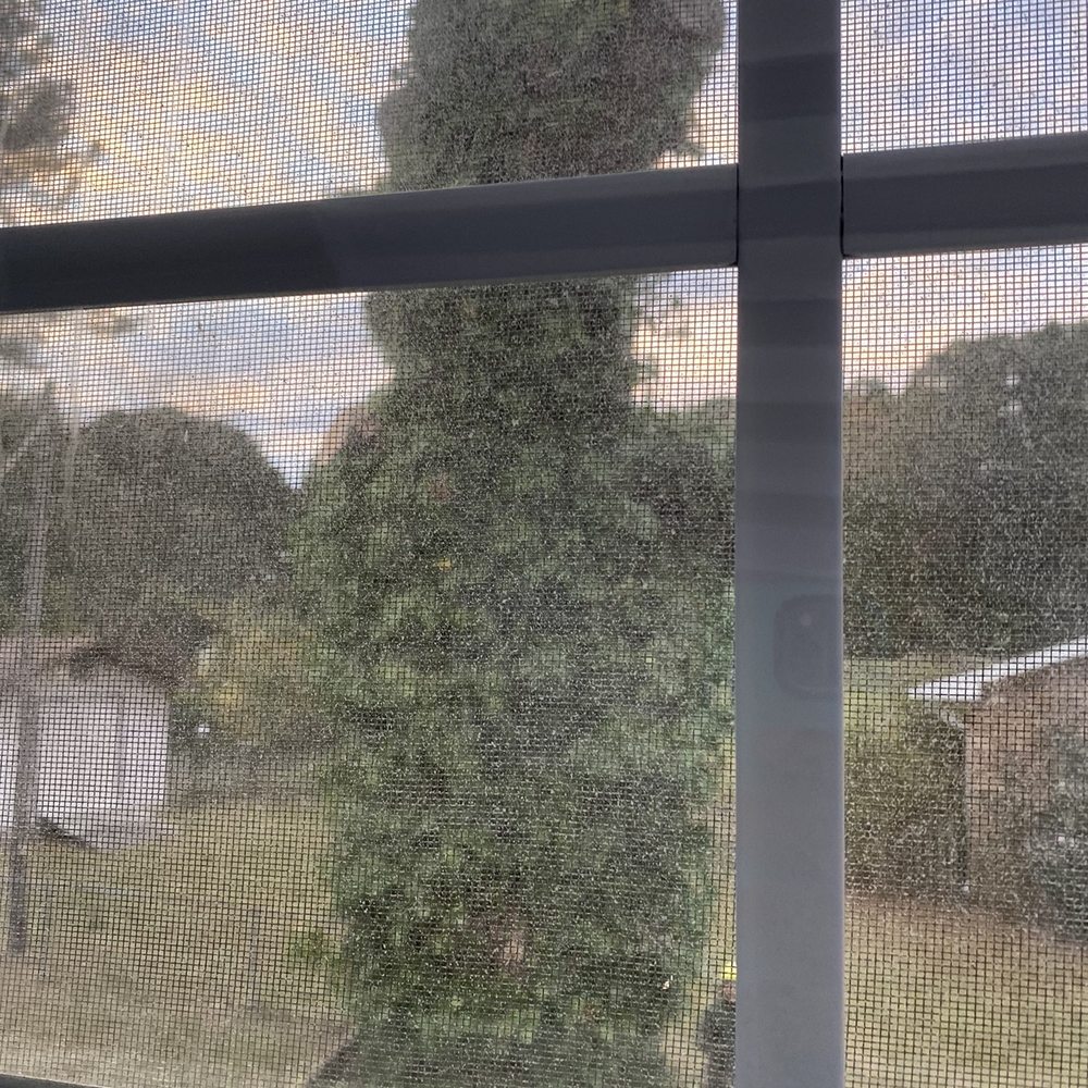 Castro Tree Service - Tree Services Near Me - Apex, North Carolina Castro Tree Service - Tree Services Near Me - Apex, North Carolina