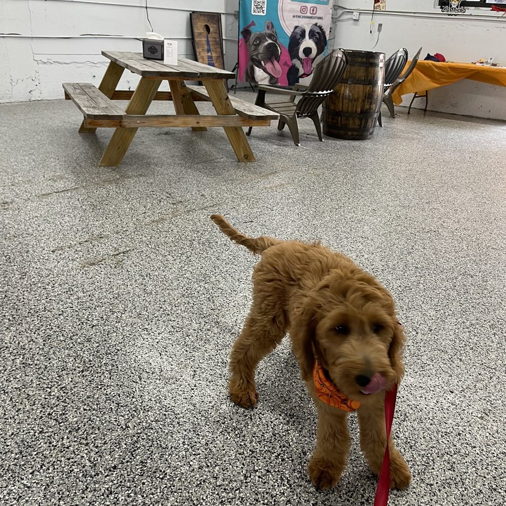 Barkyard n' Brews - Dog Parks Near Me - Fort Lauderdale, Florida Barkyard n' Brews - Dog Parks Near Me - Fort Lauderdale, Florida