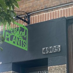 Twisted Plants - Twisted Plants!