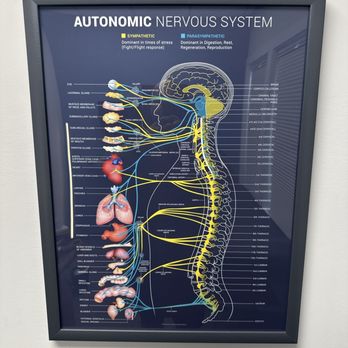 Planet Wellness Chiropractic - Chiropractors Near Me - Chesapeake, Virginia Planet Wellness Chiropractic - Chiropractors Near Me - Chesapeake, Virginia