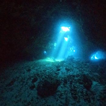 Dive Maui - Cathedral entrance - Scuba Diving Near Me - Lahaina, Hawaii