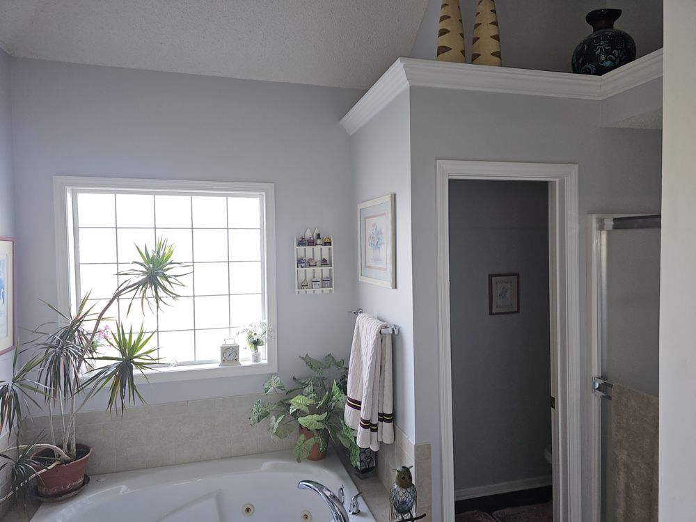 Slide of Building Dreams Renovation