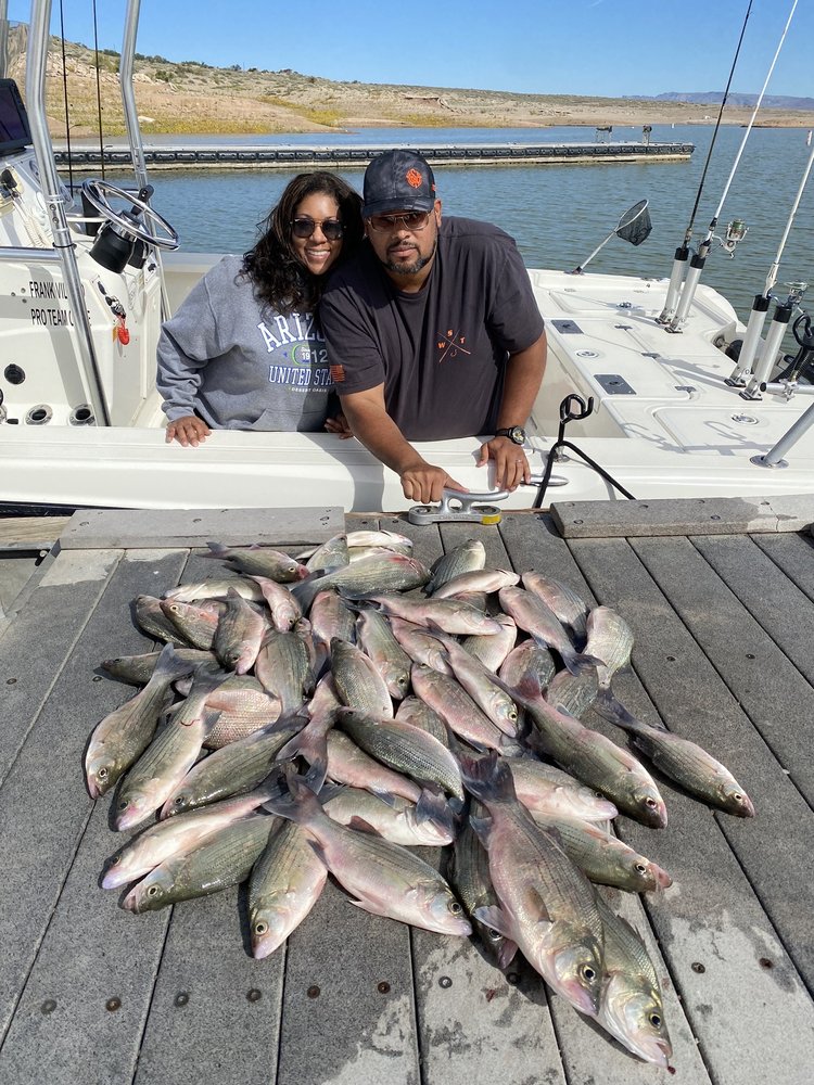 Land of Enchantment Fishing & Hunting Adventures Logo