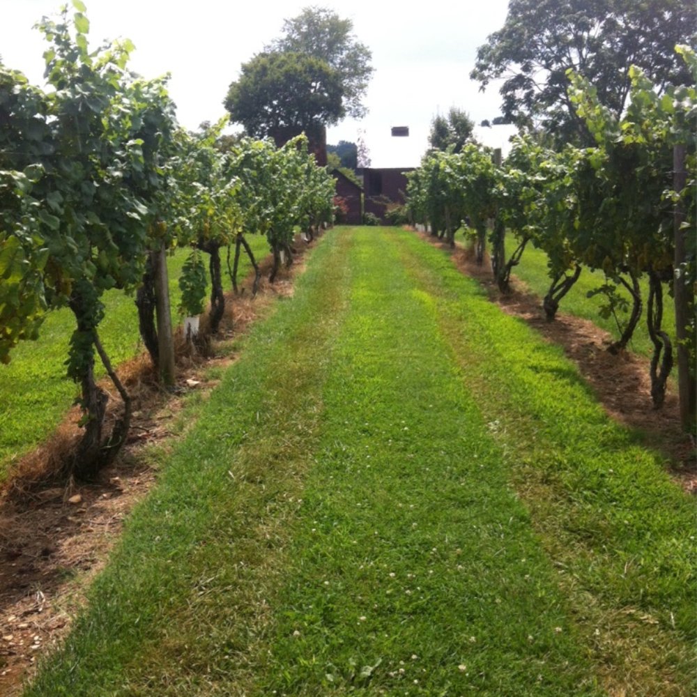 Pearmund Cellars - Wineries Near Me - Broad Run, Virginia Pearmund Cellars - Wineries Near Me - Broad Run, Virginia