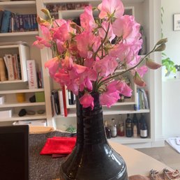 Flowers I bought last Saturday for $6, already half dead on Monday :( Flowers I bought last Saturday for $6, already half dead on Monday :(