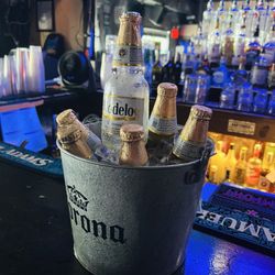 Cheap Shots - Bucket