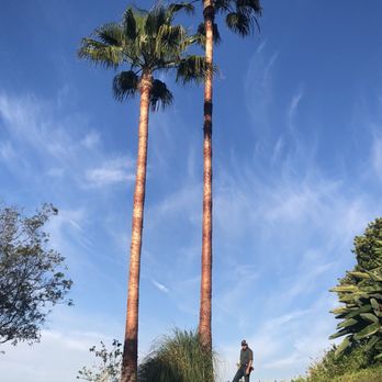 Forever Green Tree Services - Tree Services Near Me Forever Green Tree Services - Tree Services Near Me
