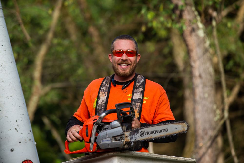 Lets Cut a Deal Services - tree service in Pittsburgh, PA