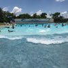 Surf & Swim, Audubon Park gift card