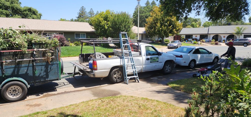 Wilson Landscape Maintenance Services - tree service in Sacramento, CA