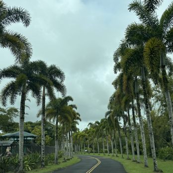 Pana'ewa Rainforest Zoo & Gardens - Drive into the zoo was beautiful! - Zoos Near Me - Hilo, Hawaii