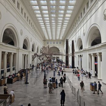 Field Museum - Museums Near Me - Chicago, Illinois Field Museum - Museums Near Me - Chicago, Illinois