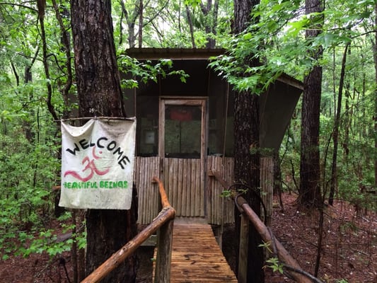 Hostel In the Forest by null