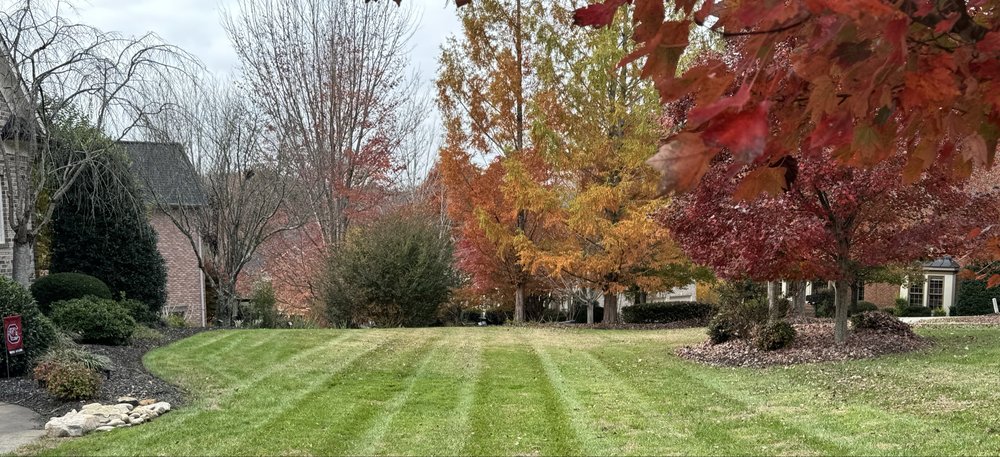 Lawn Masters Clt - veterans service organization in Charlotte, NC