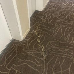 Throw up that was in the hallways for 6 days.
