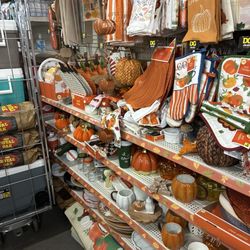 Dollar General - Nice clean organized Fall display