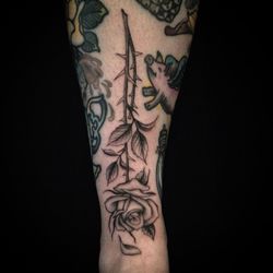 Pacific Rose Tattoo - by Noah Davis