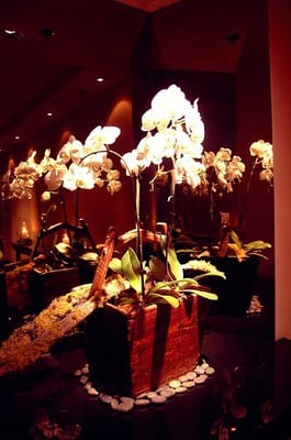 Hotel Valencia Santana Row, Valencia Hotel Collection by null