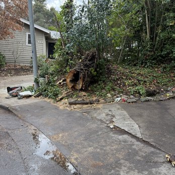 Santiago Landscaping - after tall fallen tree removed and area cleaned. - Landscaping Near Me Santiago Landscaping - after tall fallen tree removed and area cleaned. - Landscaping Near Me