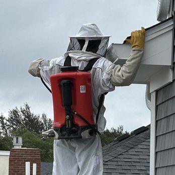 Neal Pest Control - Spraying application into the wasps entry point - Pest Control Near Me - Plymouth, Massachusetts Neal Pest Control - Spraying application into the wasps entry point - Pest Control Near Me - Plymouth, Massachusetts