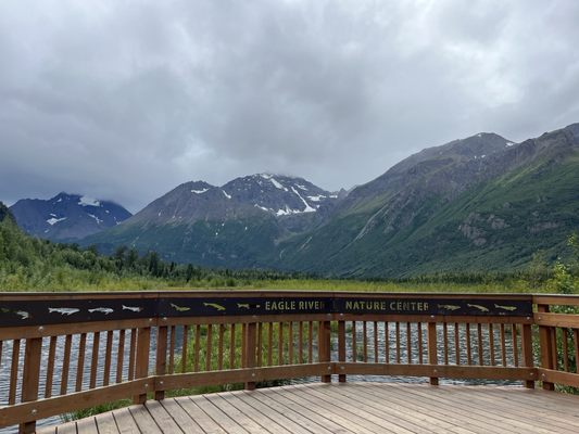 Eagle River Nature Center by null