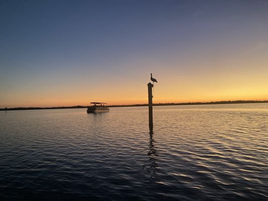 Rising Tide Explorers by null