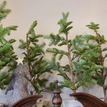 Persimmon Avenue - Smaller Christmas trees - Home Decor Near Me - Noblesville, Indiana Persimmon Avenue - Smaller Christmas trees - Home Decor Near Me - Noblesville, Indiana