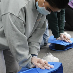 Coast2Coast First Aid/CPR - Hamilton - Students training in cpr