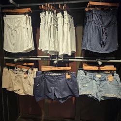 Hollister - Hollister