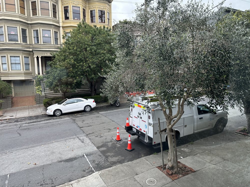 Sean Heskett Urban Arborist - tree service in San Francisco, CA