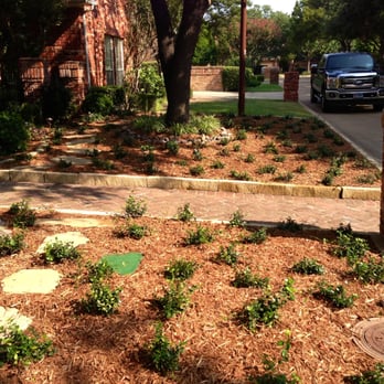 Absolutely Bushed Landscaping - Grass won't grow because your lucky enough to have large trees in Texas, we have solution to all your landscaping problems. - Landscape Architects or Designers Near Me - Richardson, Texas Absolutely Bushed Landscaping - Grass won't grow because your lucky enough to have large trees in Texas, we have solution to all your landscaping problems. - Landscape Architects or Designers Near Me - Richardson, Texas