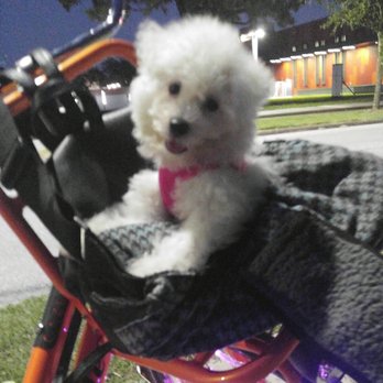 Letsdothishouston - New Orleans Bounce: Night Light Ride - Bike Rentals Near Me - Houston, Texas Letsdothishouston - New Orleans Bounce: Night Light Ride - Bike Rentals Near Me - Houston, Texas