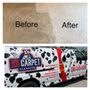 Photo of K9 Carpet Cleaning