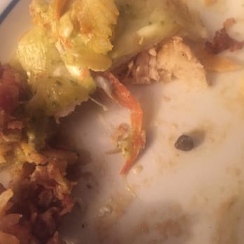 Plaza Azteca - Stone inside a Chicken Enchilada - no refund given - Mexican Near Me - Pittsburgh, Pennsylvania Plaza Azteca - Stone inside a Chicken Enchilada - no refund given - Mexican Near Me - Pittsburgh, Pennsylvania