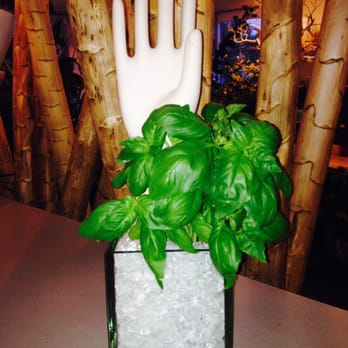 Interior Gardens - Cool herb arrangement - Nurseries & Gardening Near Me - Las Vegas, Nevada Interior Gardens - Cool herb arrangement - Nurseries & Gardening Near Me - Las Vegas, Nevada