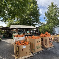 Maple Acre Farms