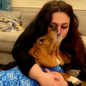 Sploot Veterinary Care - Highlands Ranch - Gus (props to National hug your dog day) - Veterinarians Near Me - Highlands Ranch, Colorado Sploot Veterinary Care - Highlands Ranch - Gus (props to National hug your dog day) - Veterinarians Near Me - Highlands Ranch, Colorado