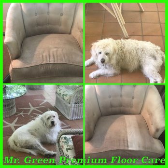 Mr Green Premium Floor Care - Furniture and Upholstery - Carpet Cleaning Near Me Mr Green Premium Floor Care - Furniture and Upholstery - Carpet Cleaning Near Me