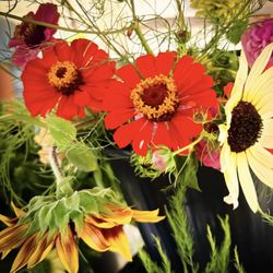 New Albany Farmers Market - Always smell the flowers.