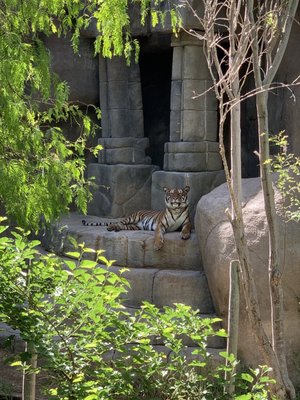 El Paso Zoo and Botanical Gardens by null