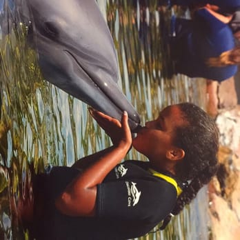 Discovery Cove - Kissing the dolphin - Amusement Parks Near Me - Orlando, Florida